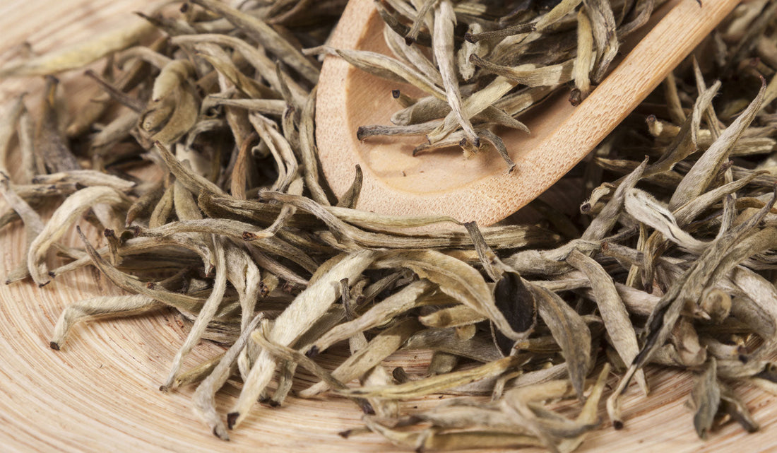 Biała Herbata – Królewski Napój pełen Antyoksydantów i Delikatności